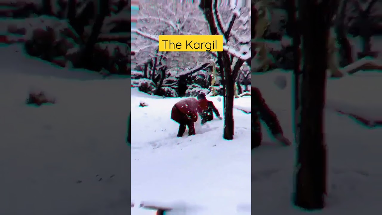 The Kargil In Winter #kargil #ladakh #oskary #shorts #winter #winterspecial