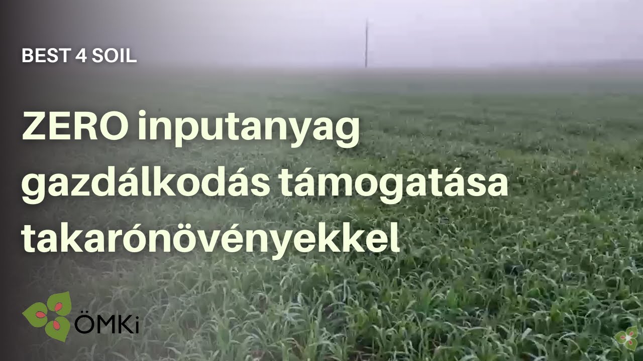 ZERO inputanyag gazdálkodás támogatása takarónövényekkel - Best4Soil