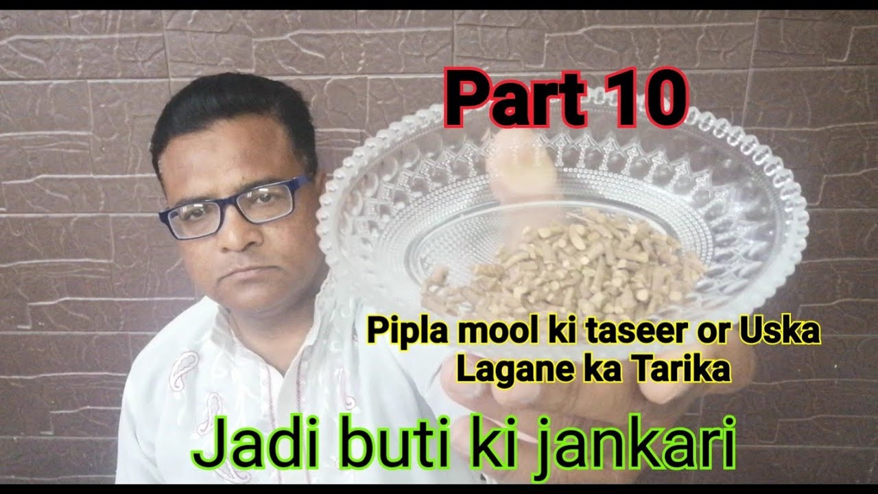 Pipla mool ki taseer or Uska Lagane ka Tarika part 10 jadi buti ki jankari by MHD Salim Ustad