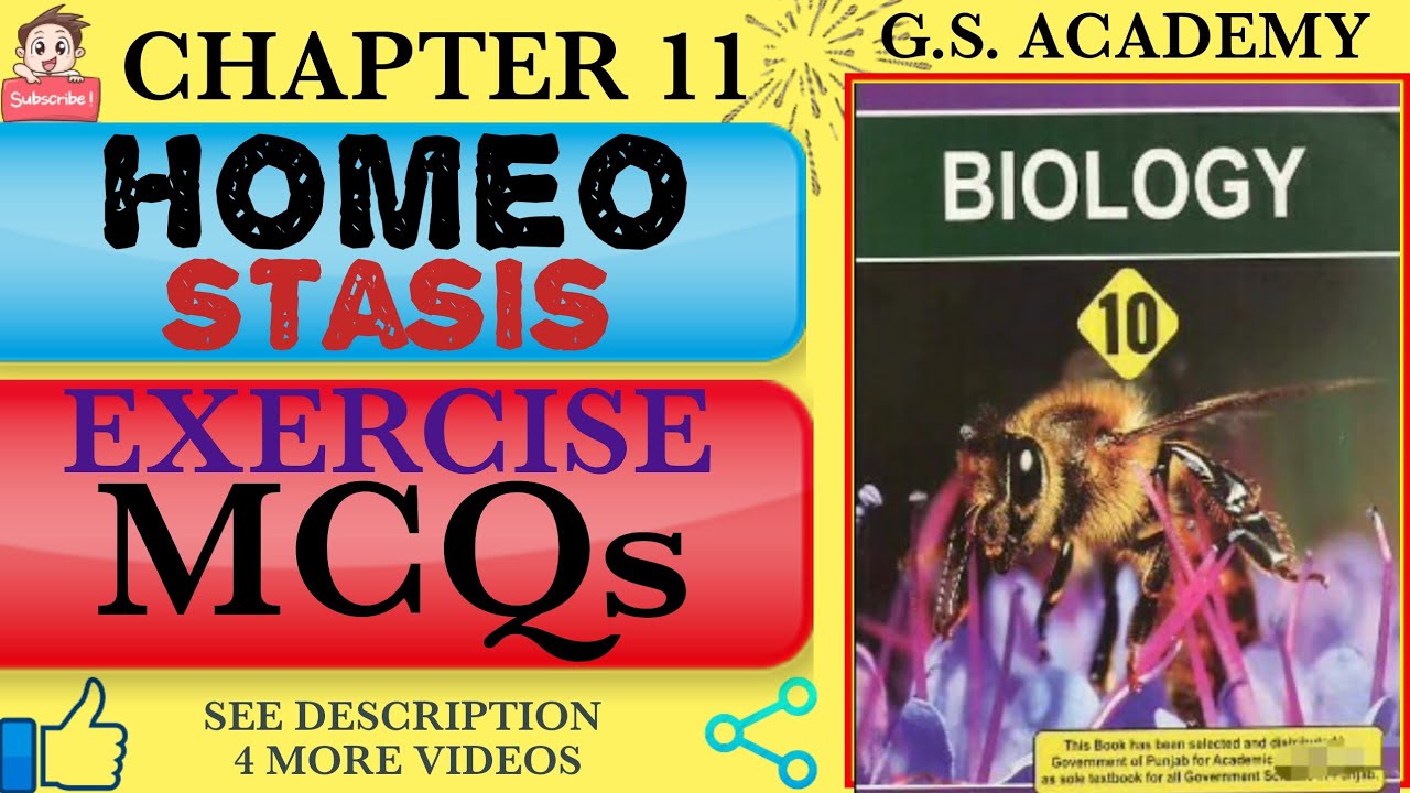 10TH BIOLOGY, Exercise MCQs, Chapter 11, Homeostasis, Class 10, Biology, GS Academy,