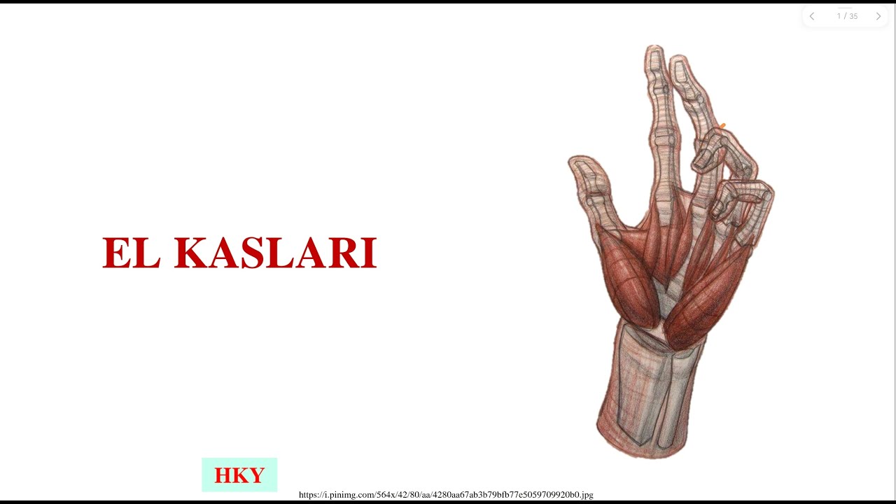 10- El Kasları