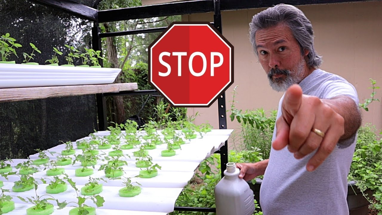 Stop Growing Microgreens, DIY Hydroponics