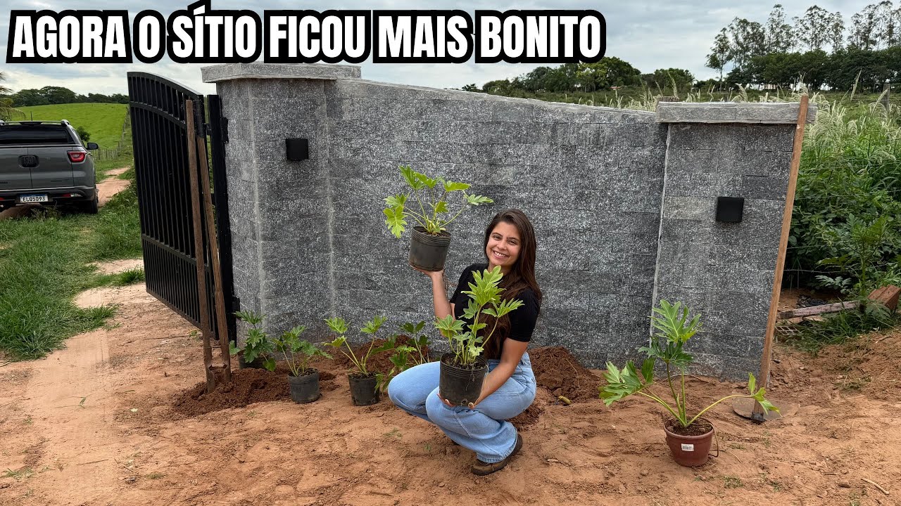 Transformando a entrada do sítio de 3 hectares mais bonito do Brasil
