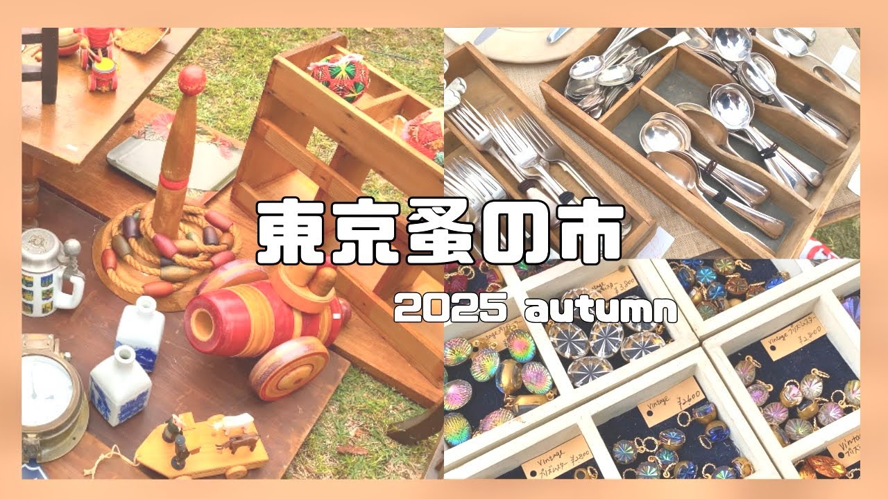 【東京蚤の市2025autumn🍁🧸】はじめての！蚤の市！【vlog】