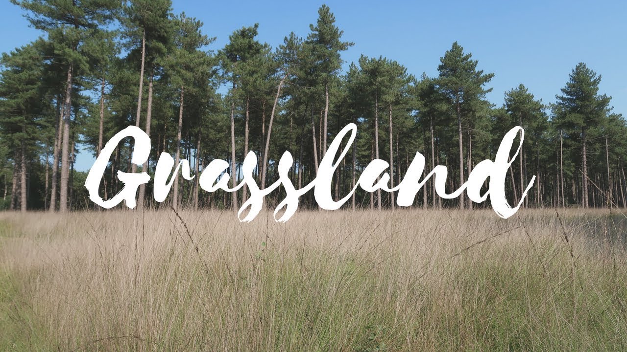 Grasslands in Belgium - Arendonk - Visit Belgium #15/589