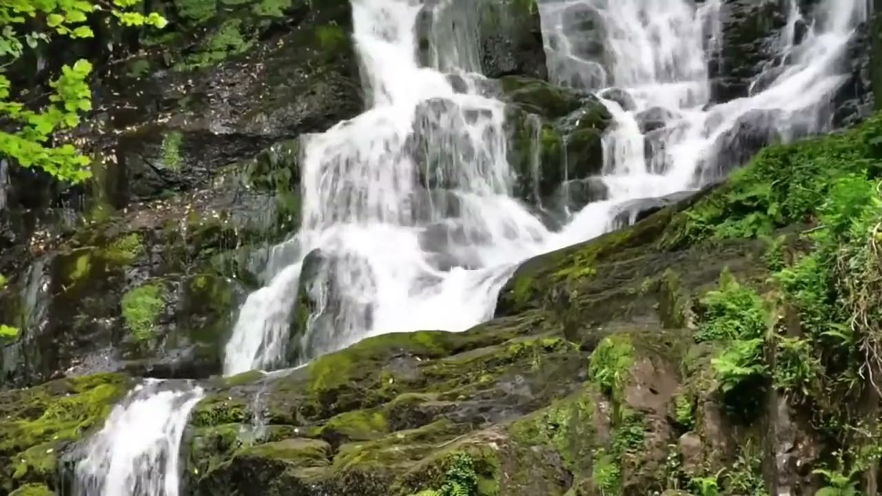 FLAUTA CURATIVA Zen China , Elimina Estr&eacute;s, Ansiedad y Calma la Mente