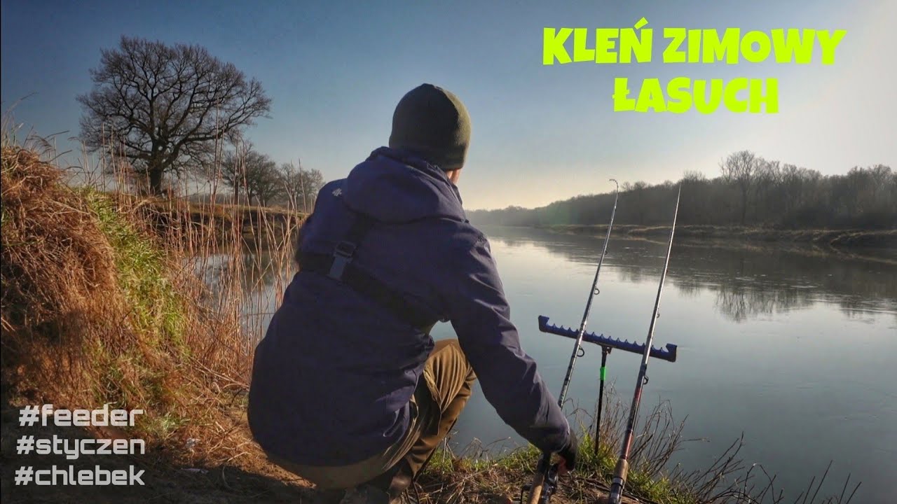 Kleń Zimowy Łasuch