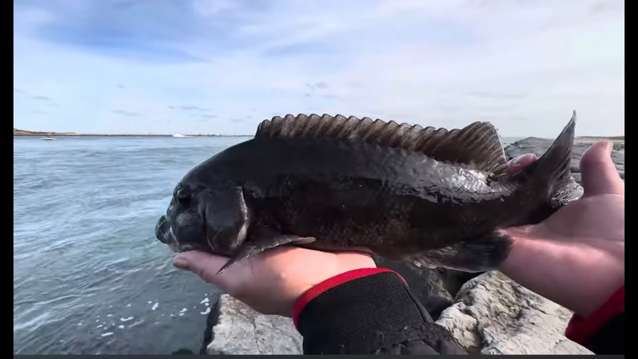 Fishing - Barnegat Lighthouse State Park NJ