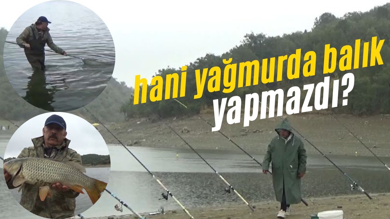 YAĞMURLA BİRLİKTE BALIKLAR COŞTU! | #Kamp#sazan#balıkavı#sazanavı#camping #fishing