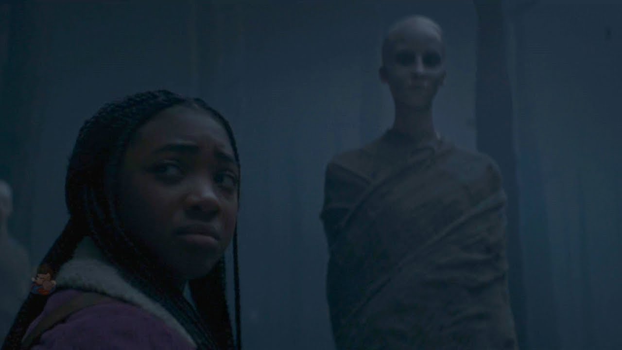 Annabeth Encounters an Asphodel and Becomes a Tree Like Her Sister Percy Jackson