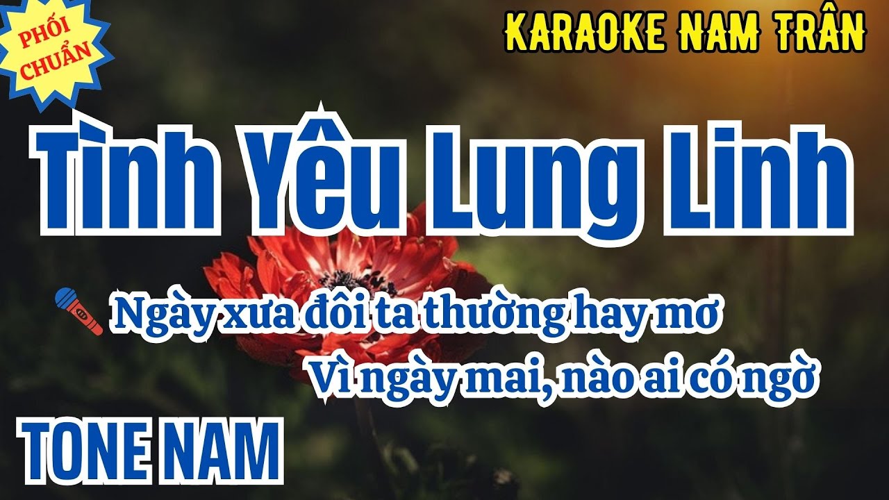 Karaoke Tình Yêu Lung Linh Tone Nam | Nam Trân