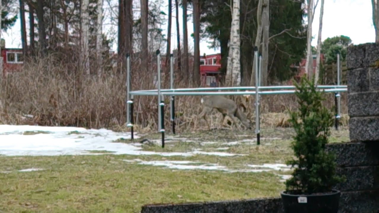 N&aelig;rkontakt av tredje grad