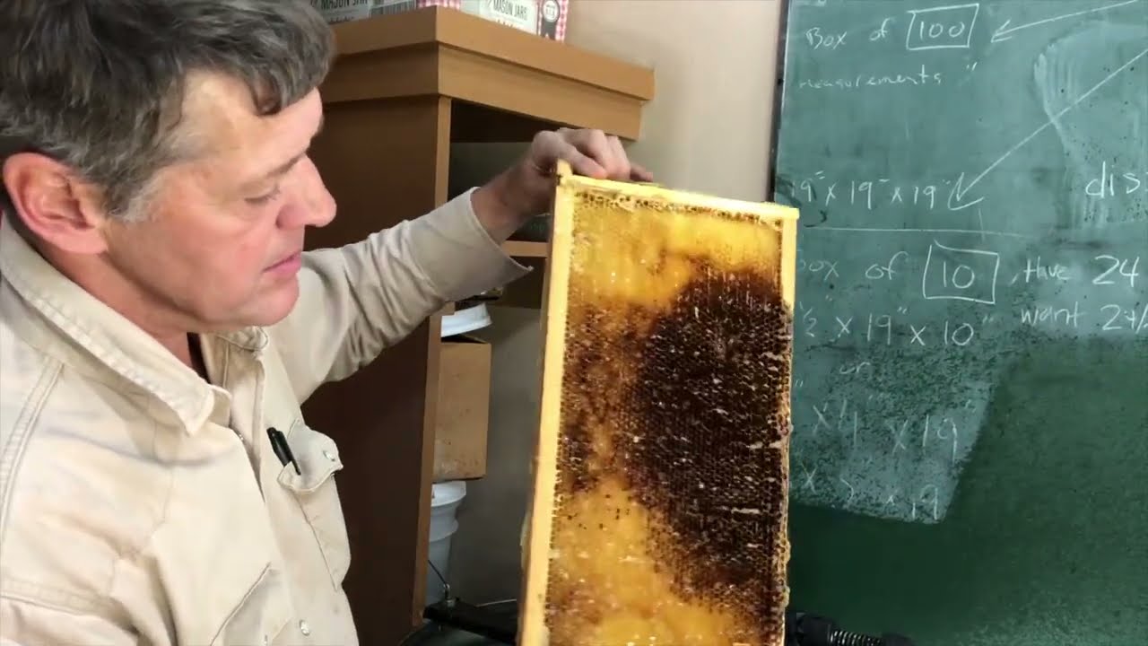 What do I do with Sticky Extracted Frames