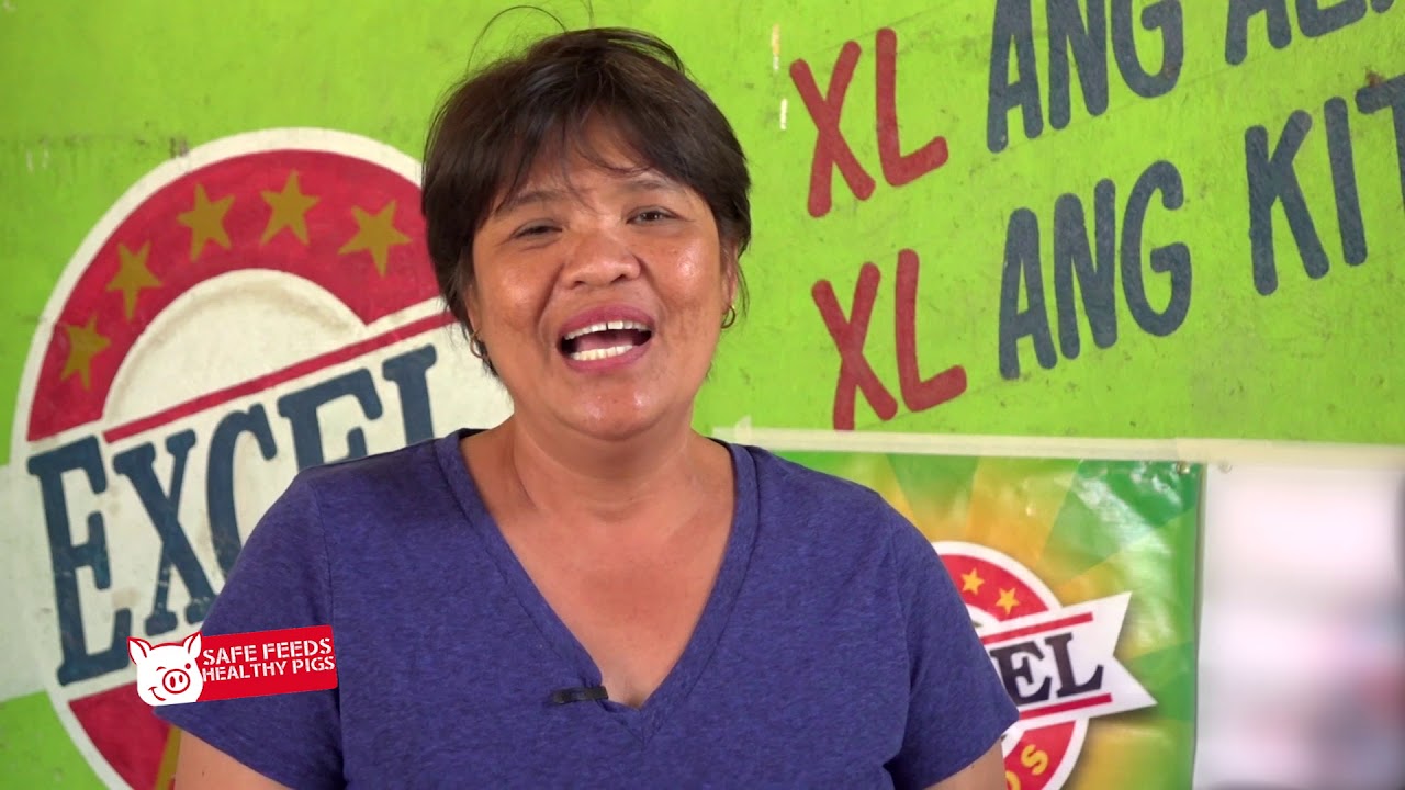 EXCEL FEEDS: Safe Feeds Healthy Pigs EP5