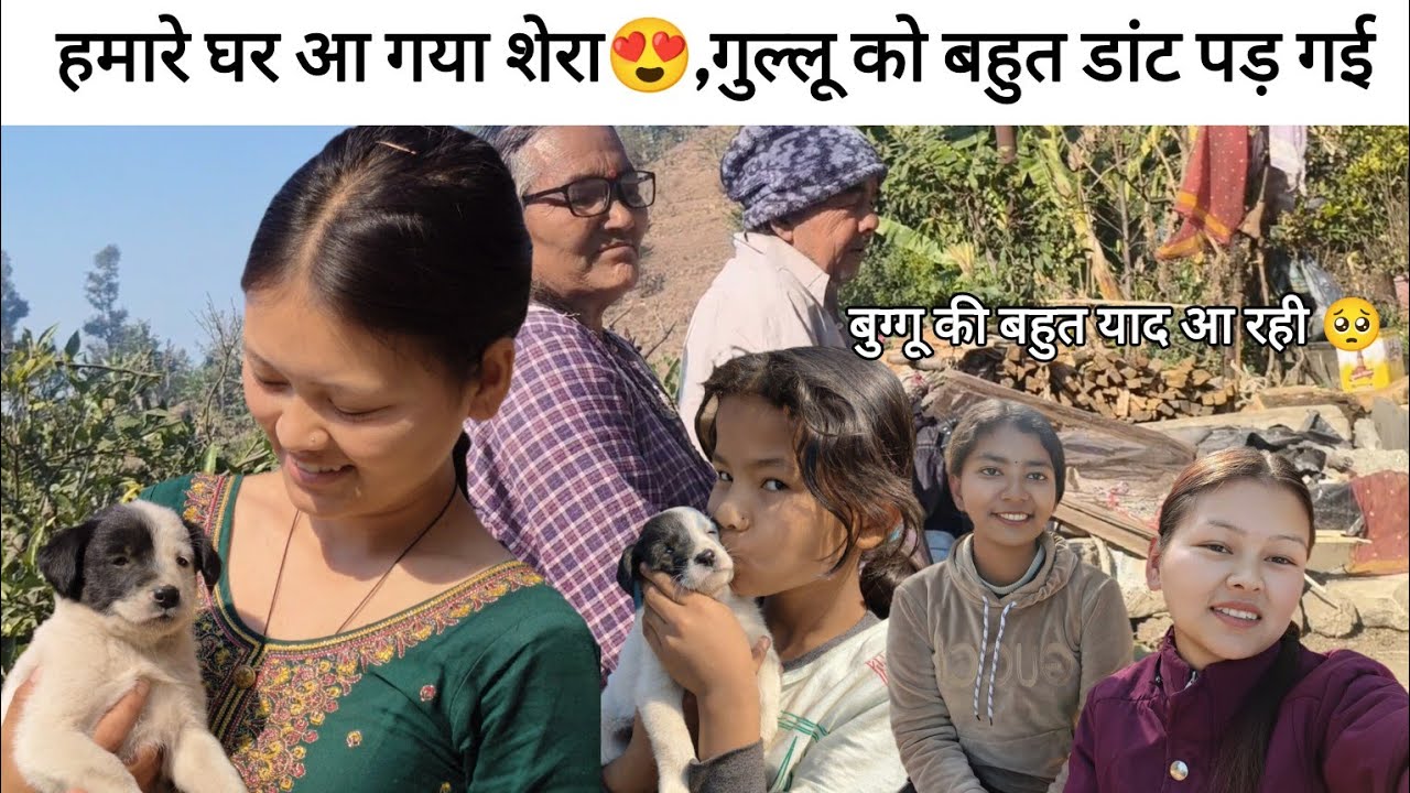 आज तक इतनी डांट कभी नहीं पड़ी😅घर पूरा सुना सुना सा लगरा🥲#pahadilifestylevlog @priyaboravlogs 