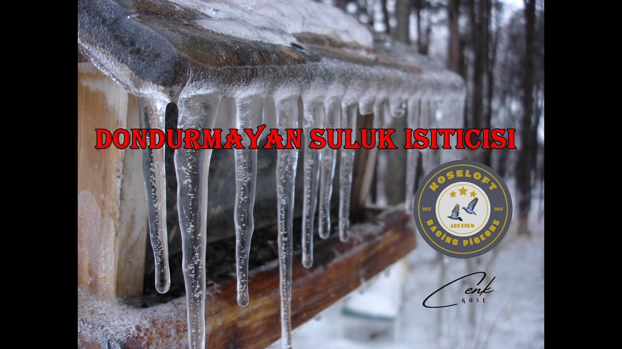 GÜVERCİNLER İÇİN DONDURMAYAN SULUK ISITICISI