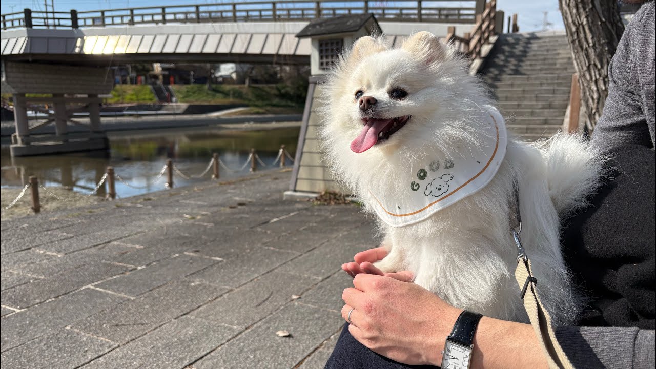京都お出かけvlog