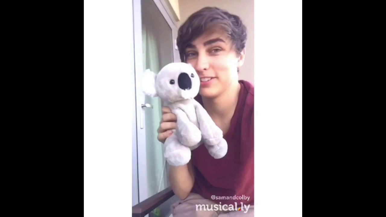 Sam And Colby's Musically's