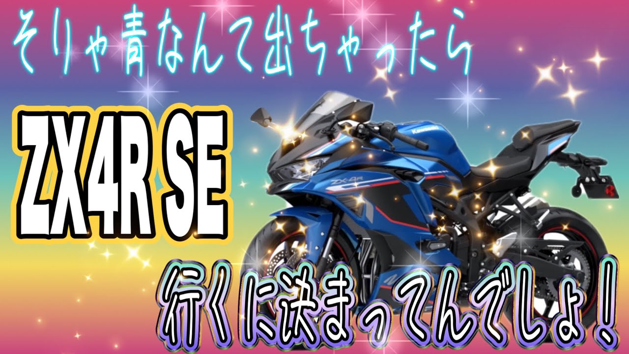【ZX-4R】そらもう、ね？【motovlog#376】