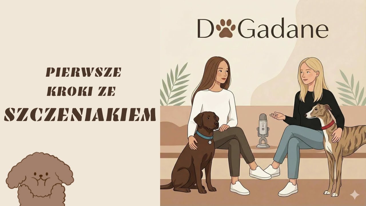 Pierwsze kroki ze szczeniakiem