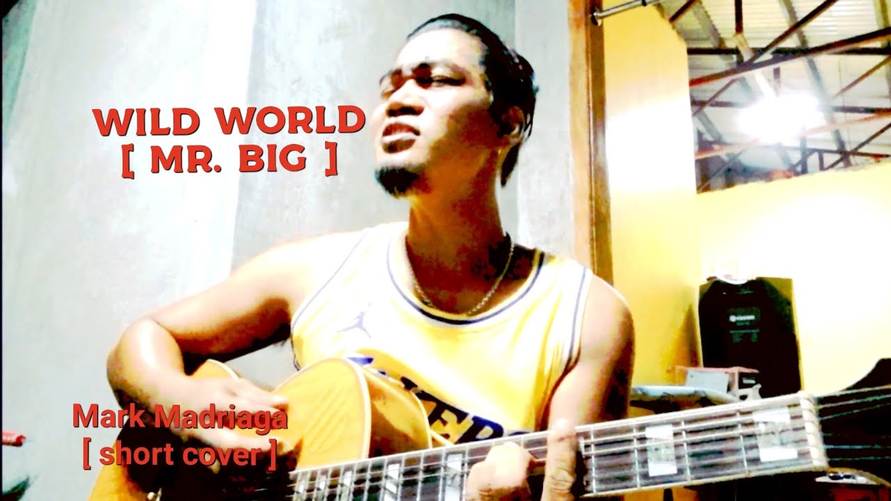 WILD WORLD - MR. Big - Mark Madriaga acoustic short cover..