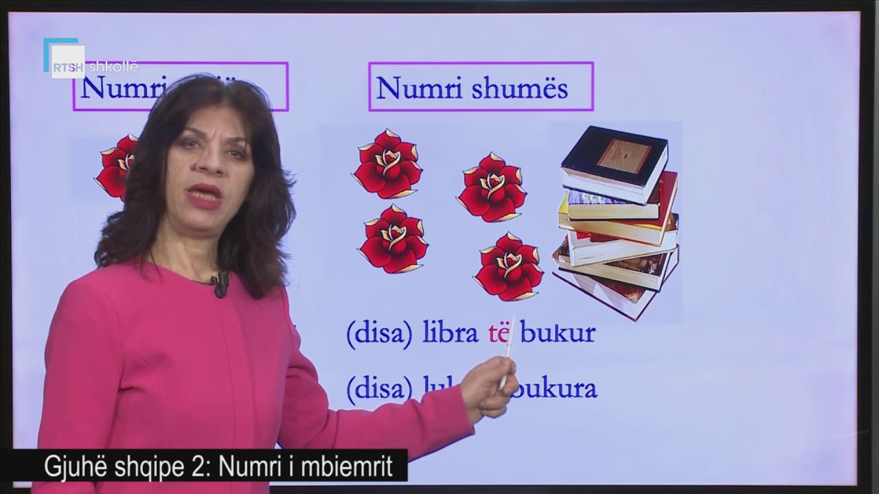 Gjuhë shqipe 2 - Numri i mbiemrit (1)