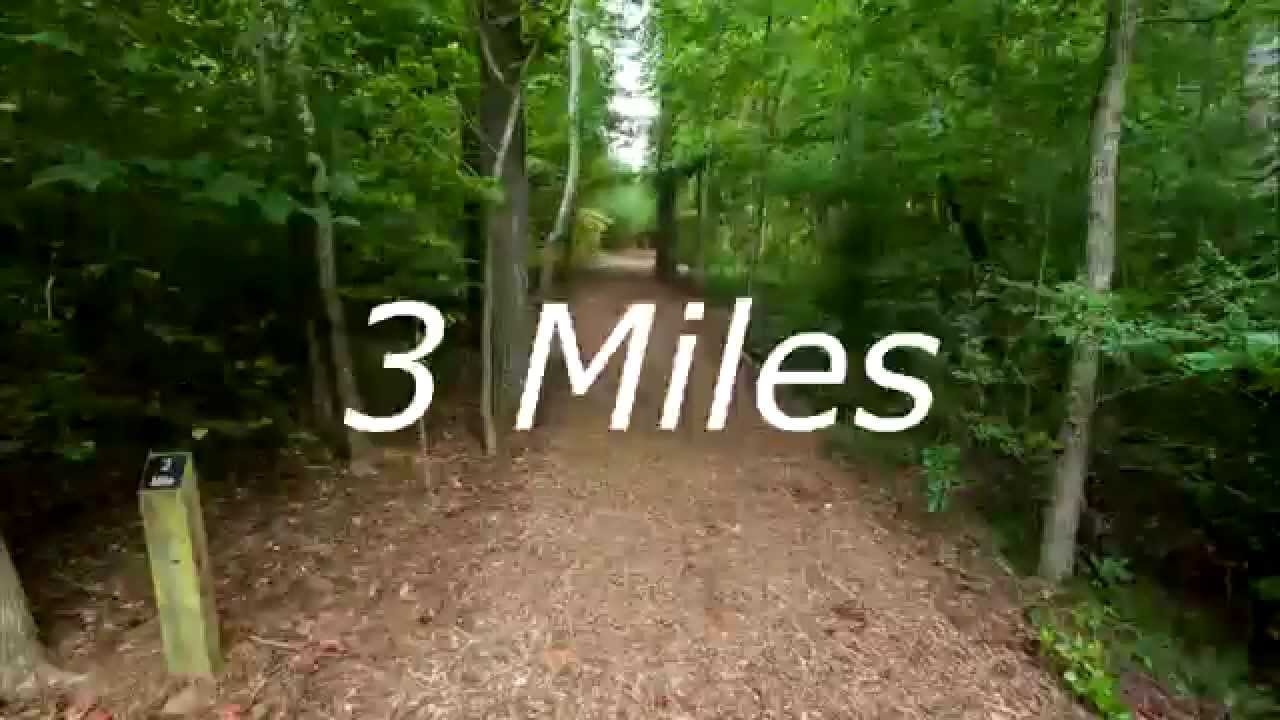 Milton High School's Cross Country Course