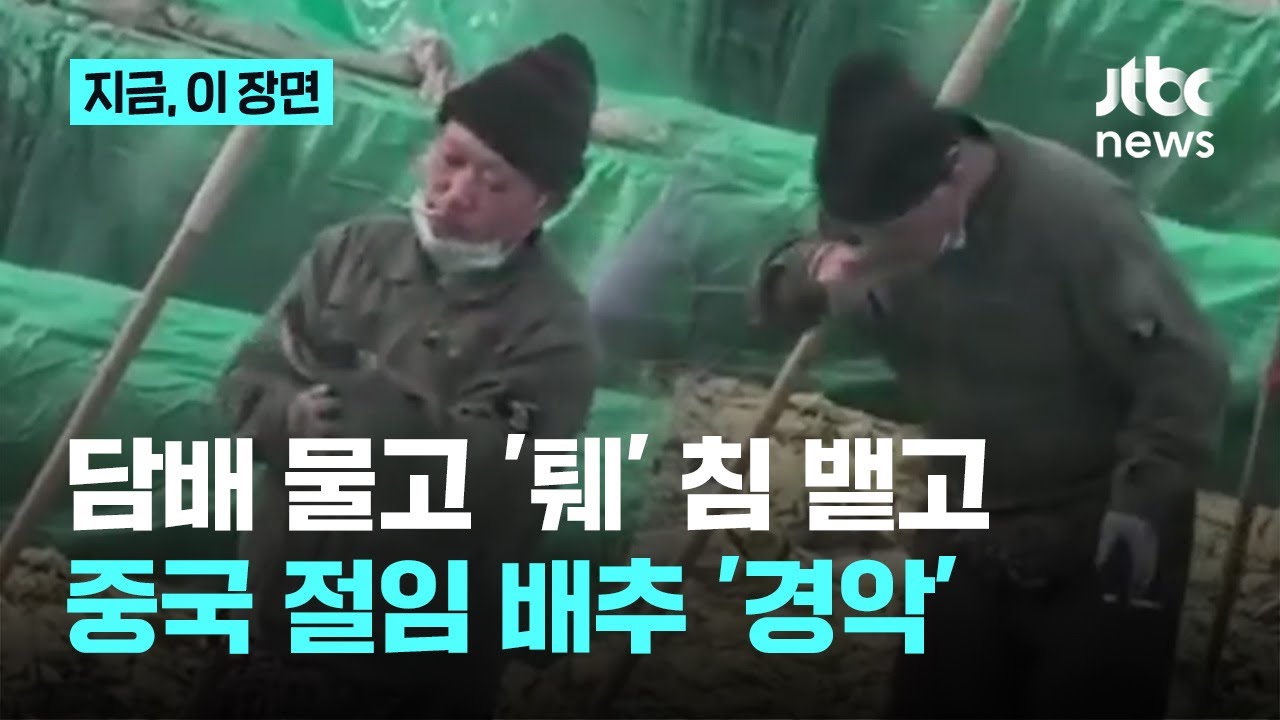 담배 물고 침까지 '퉤!' 중국 절임 배추 작업장 '경악'｜지금 이 장면