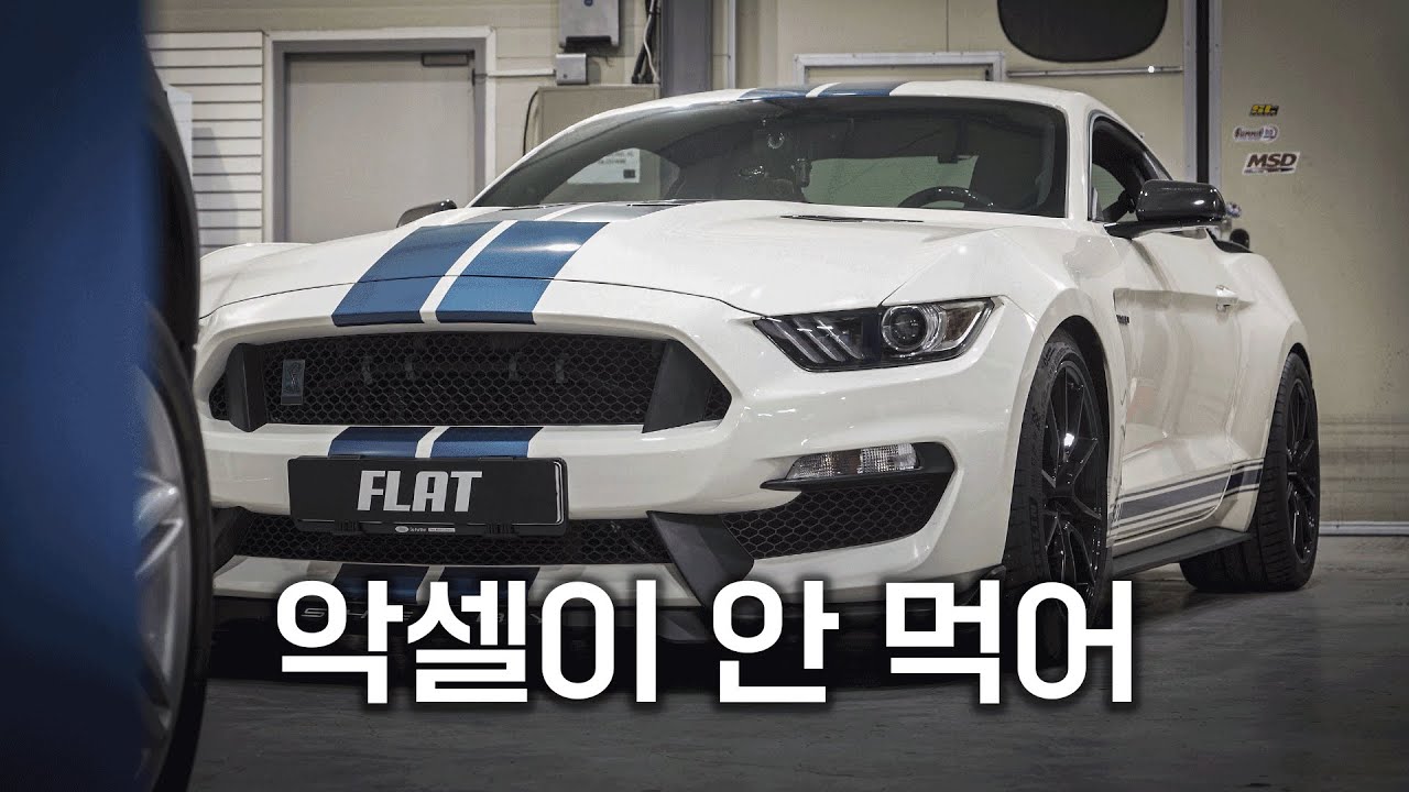 돈도 시간도 노력도 다 버렸던 쉘비 머스탱(GT350)과 50일간의 사투 [풀영상 몰아보기]