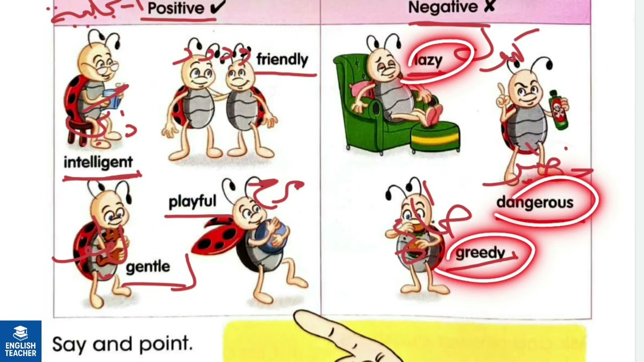 انكليزي الصف الخامس الابتدائي صفحة  28 و 29 ?unit 2 lesson 4 What it's like