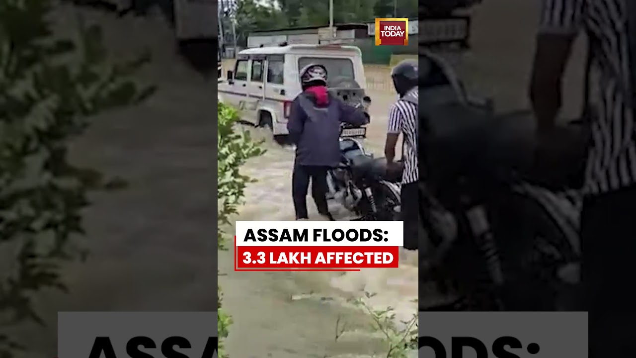 Watch: Flood Situation Remains Critical in Assam Despite Fewer Affected Districts | #assam #flood