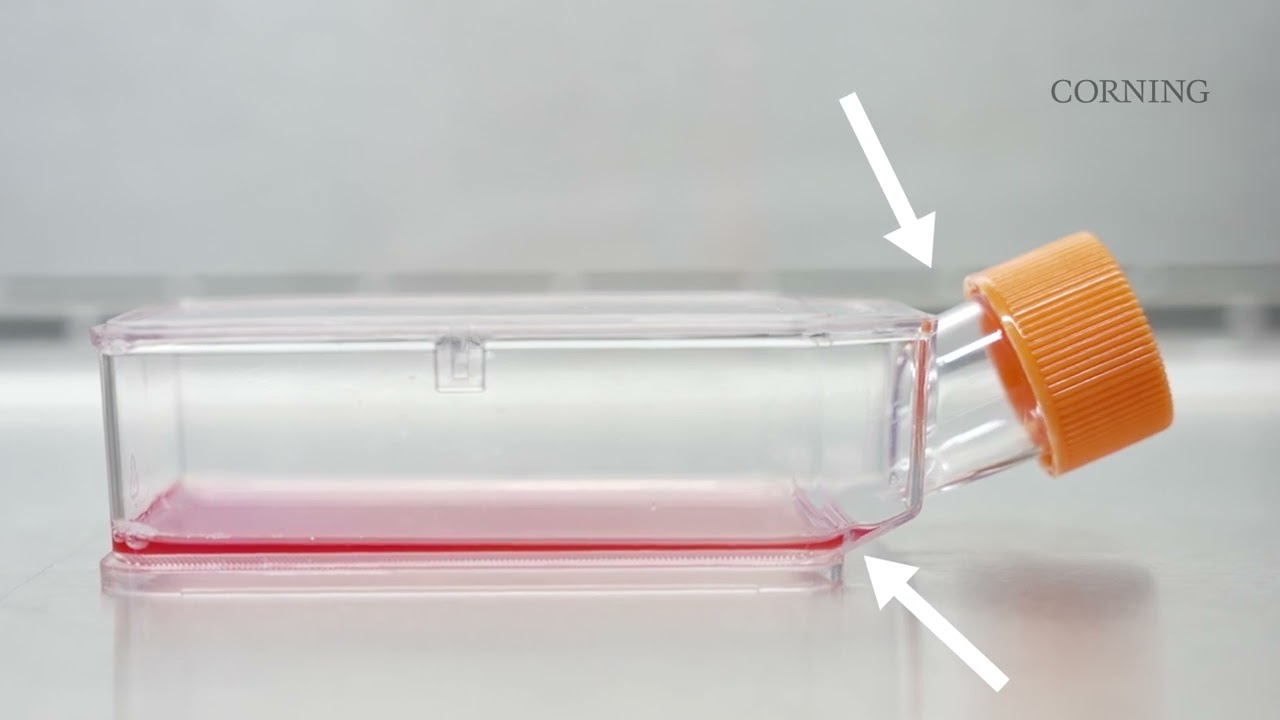 Corning® Elplasia® 12K Flask Protocol
