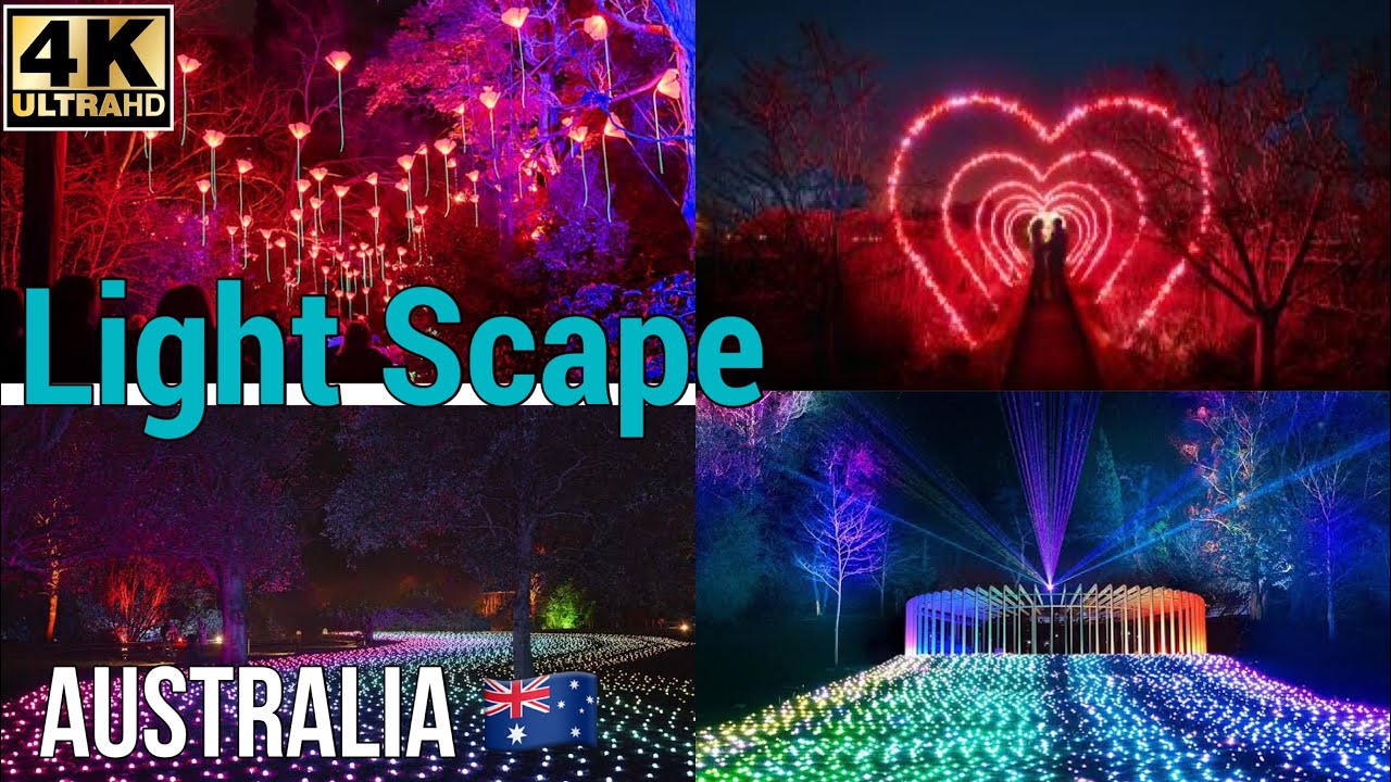 Light Scape Perth Australia 🇦🇺 Kings Park 2024