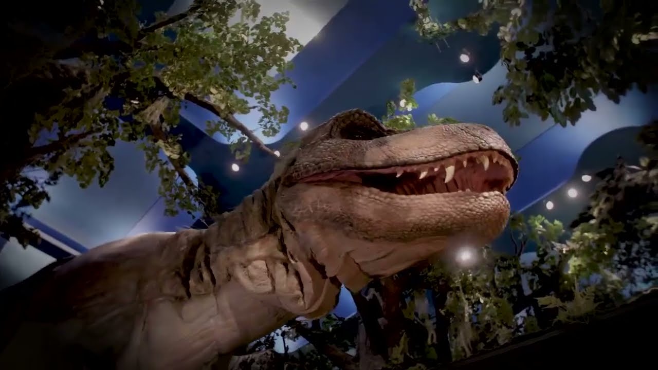BerkelaarMRT uit Delft bouwt gigantische animatronic voor Naturalis (behind the scenes)