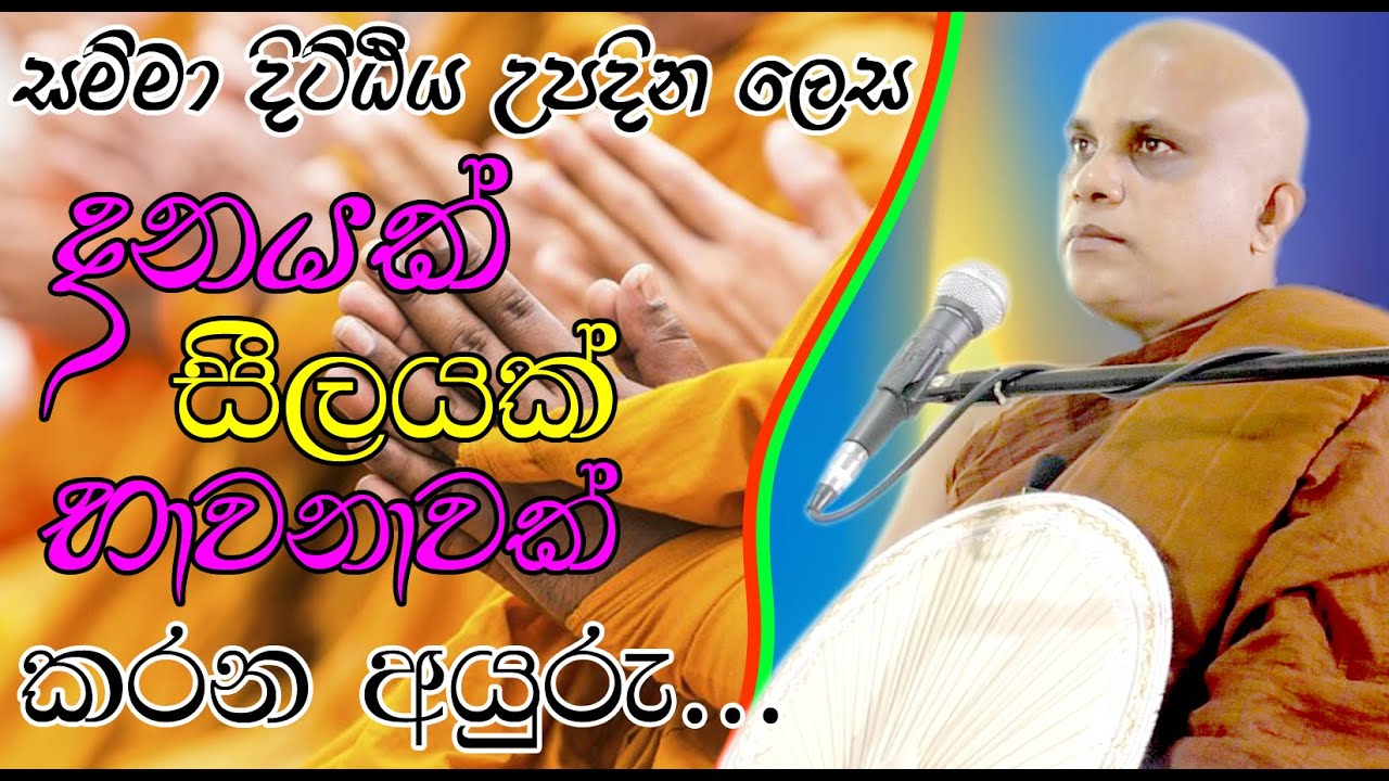 පුජ්‍ය වලස්මුල්ලේ ගුණරතන ස්වාමීන්ද්‍රයන් වහන්සේ (walasmulle Gunarathana Thero)