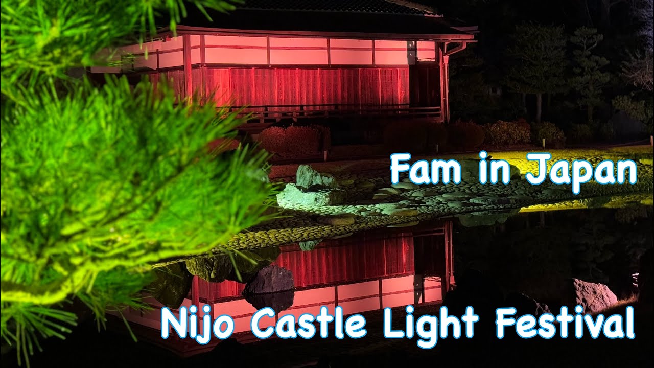 Nijo Castle meets Naked - Sakura 2025