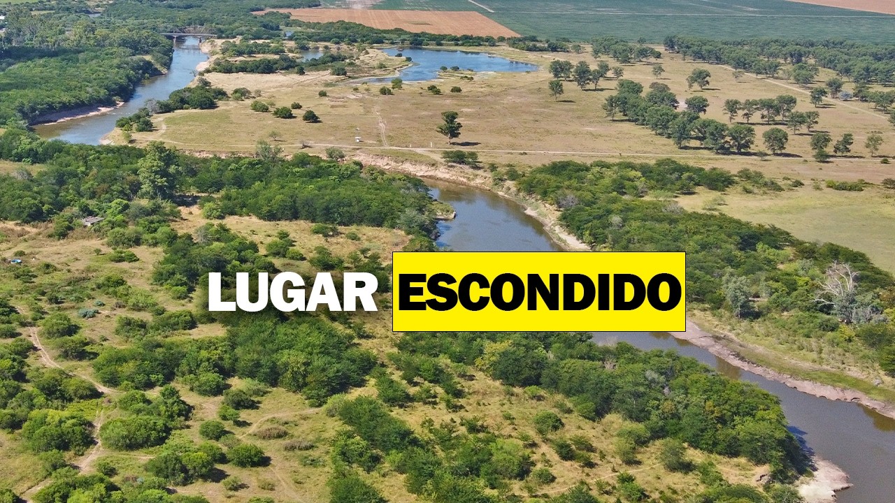🔥PESCA Y COCINA EN SILENCIO EN ESTE HERMOSO RIO / HAGO BOGA ASADA EN PARRILLA CASERA