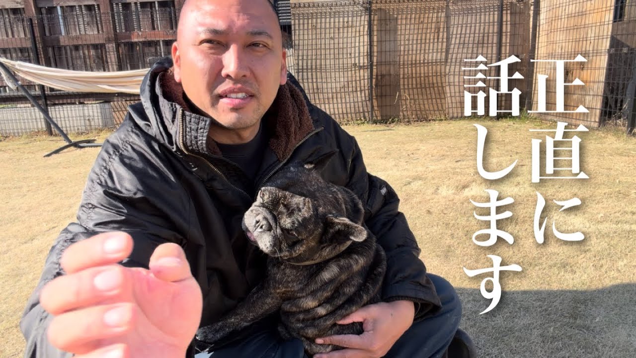 今まで隠していたブリーダー時代に販売した子犬について話します
