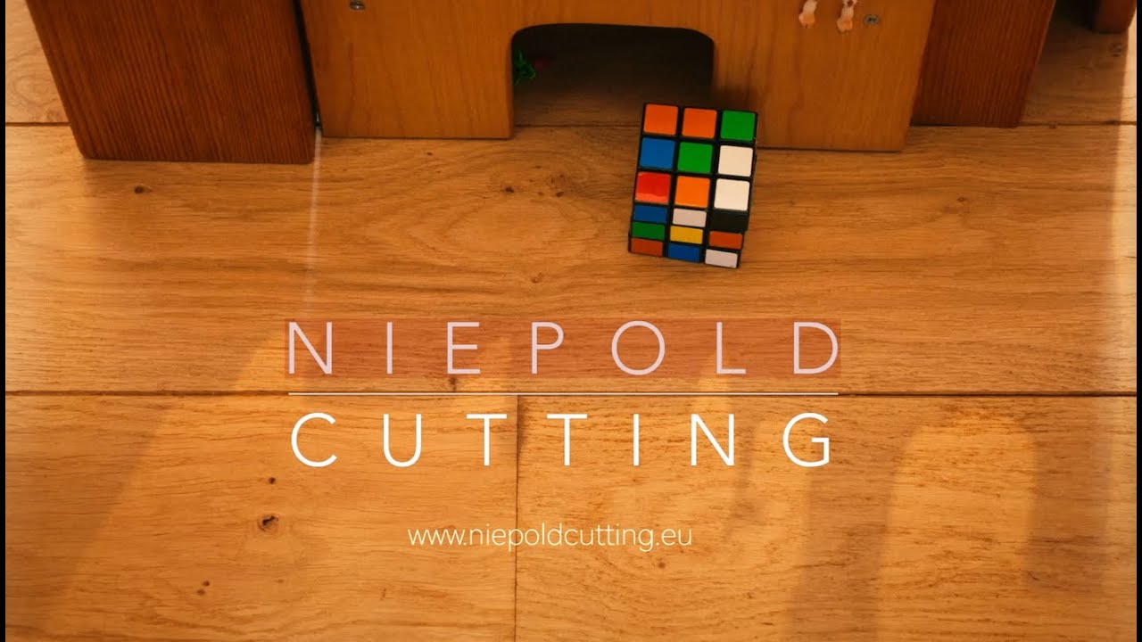PLAYTIME : DUO NIEPOLD CUTTING