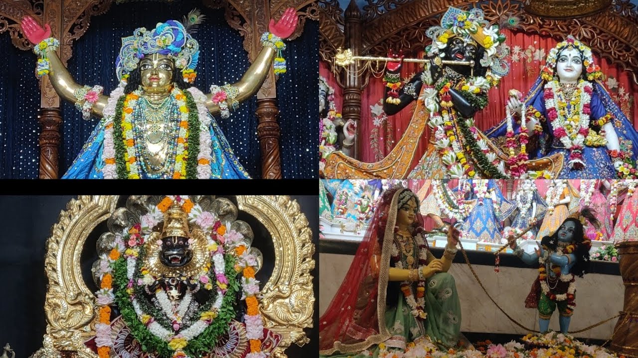 morning dsrsan of Lord Radha madhab,panchattava,Narasimha