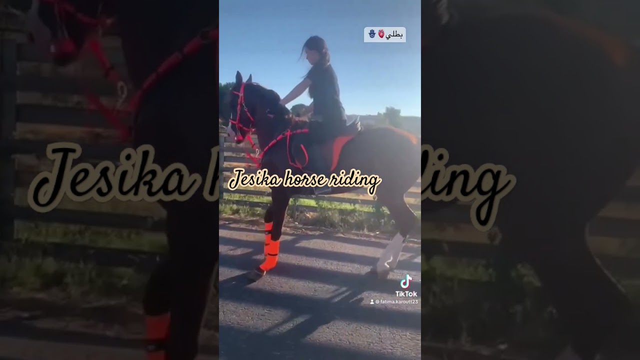 crazy Horse controlling & training on road #viralvideo #shorts #short #wildhorses #girlrider
