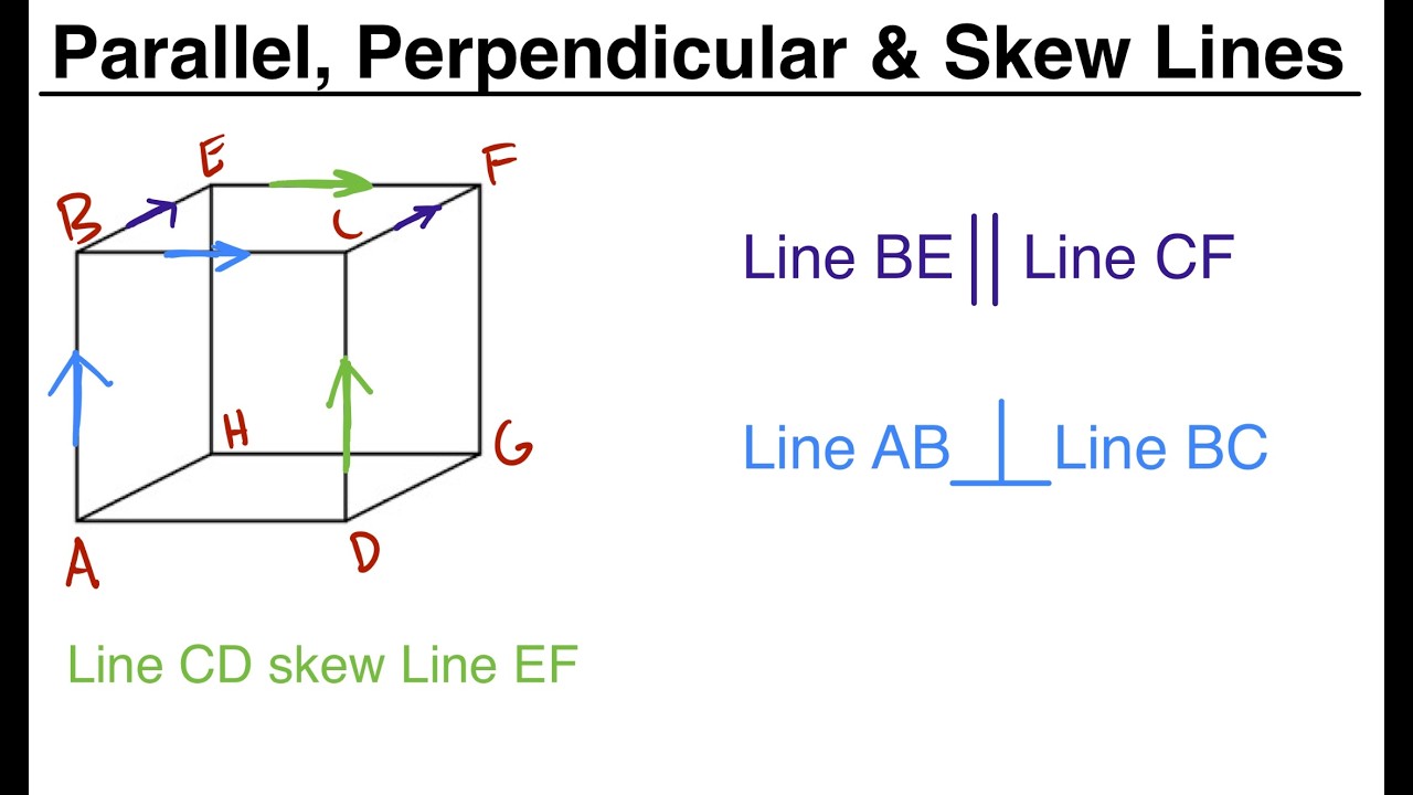 Parallel Lines, Perpendicular Lines, and Skew Lines Explained | Geometry Lesson 2
