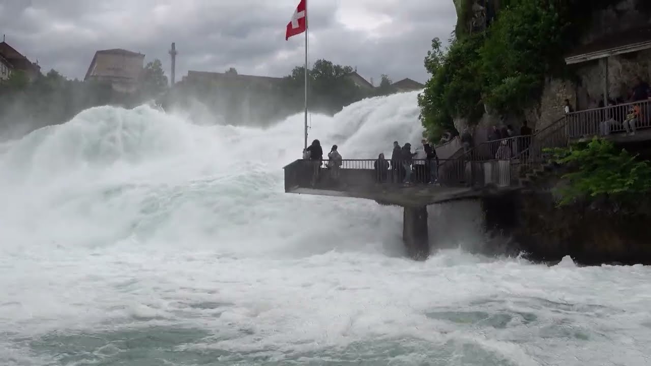 Der Rheinfall & Vogelbeobachtungen in Süddeutschland