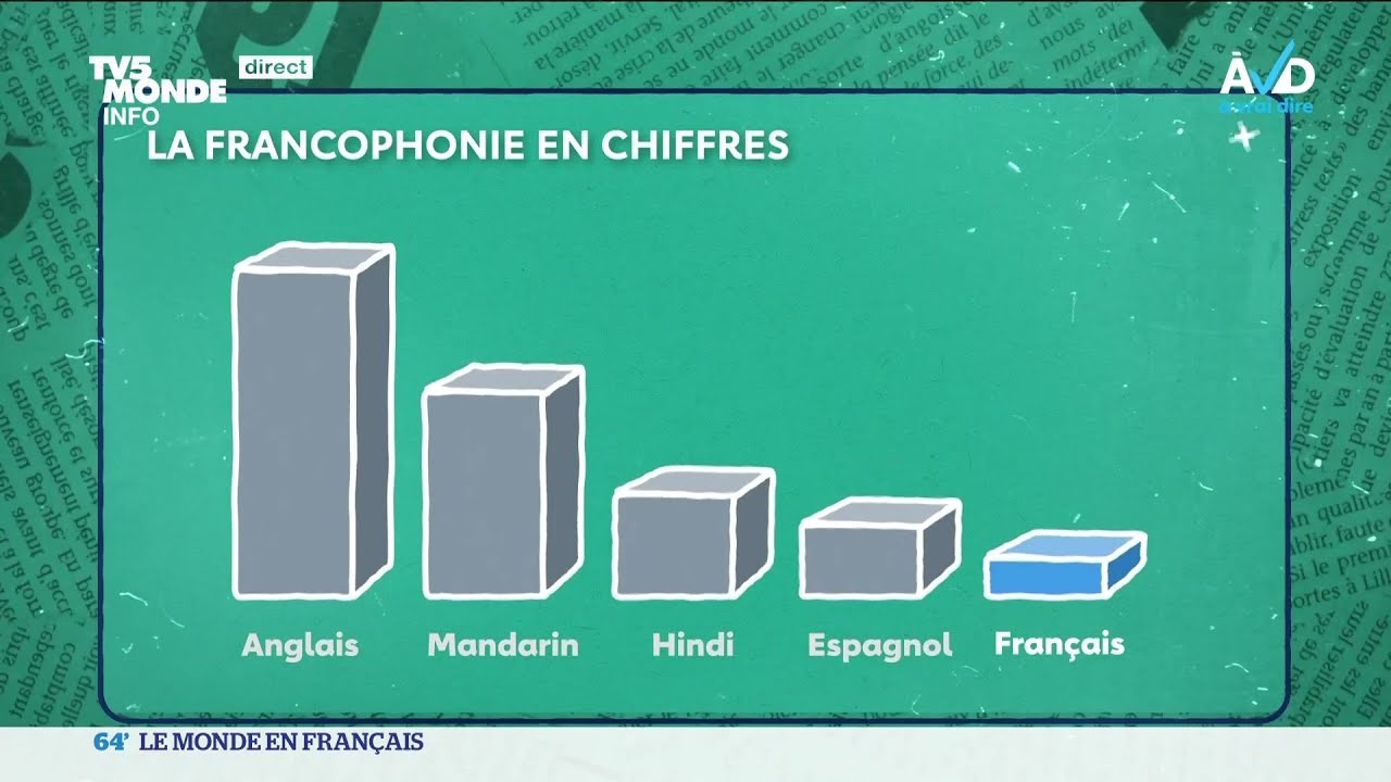 &Agrave; vrai dire : la pratique de la langue fran&ccedil;aise est-elle vraiment en d&eacute;clin ?