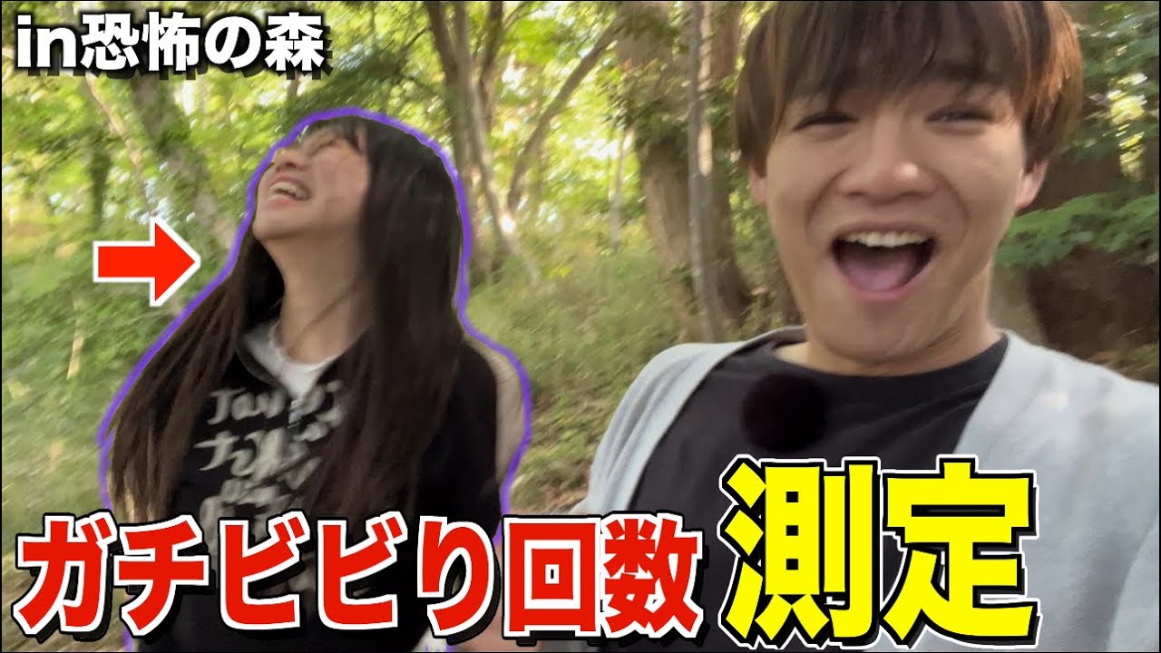 【測定】超ビビリのなのは森を歩いてるだけで何回ビビるのか？