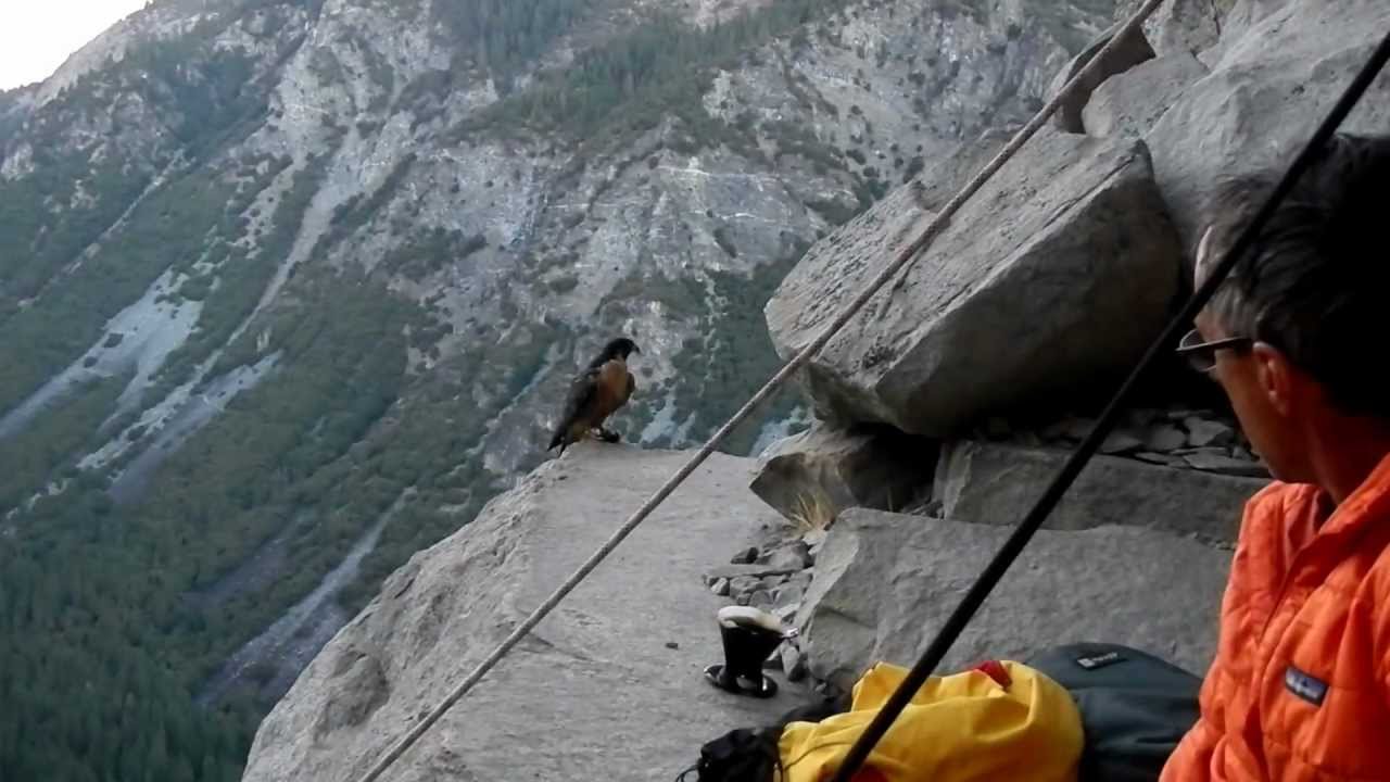 Ahwahnee Ledge Leaning Tower, Mark Hudon & Skot Richards