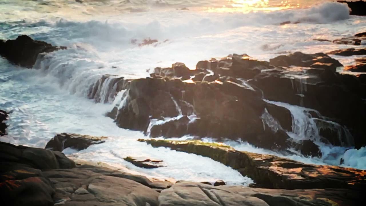 Der Arbeiter_En el Mar