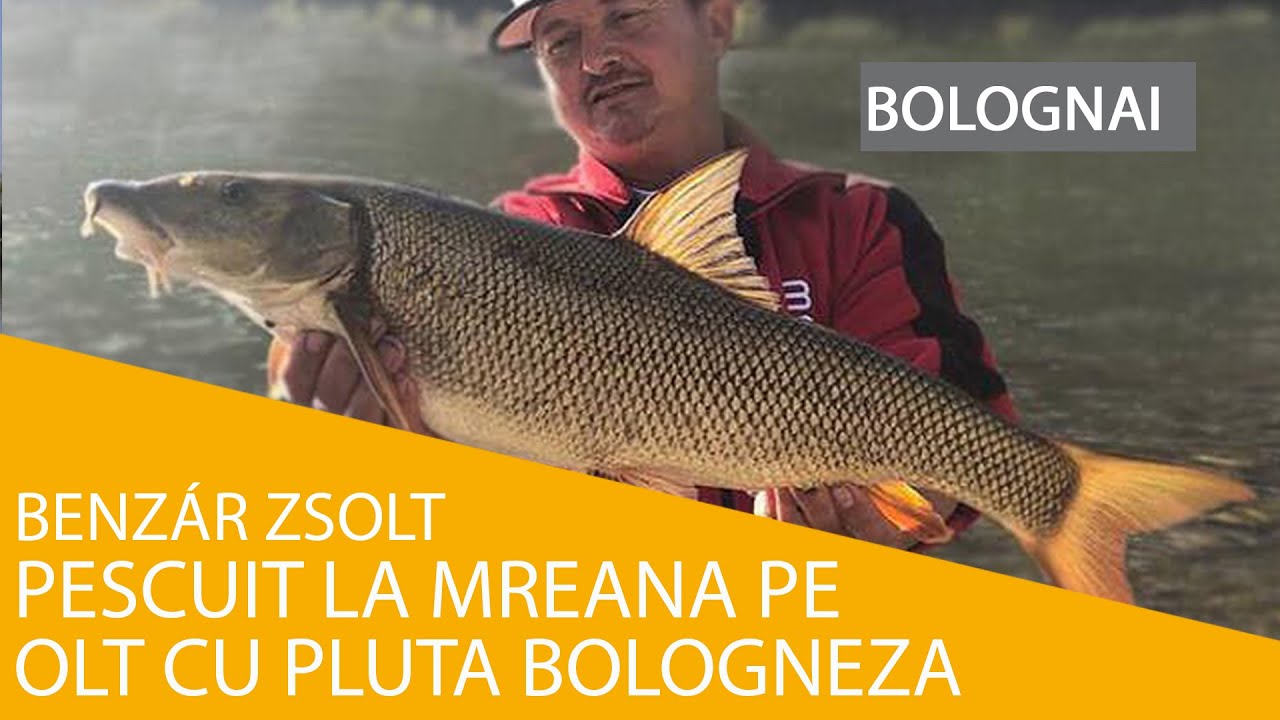 Pescuit la mreana pe Olt cu pluta bologneza