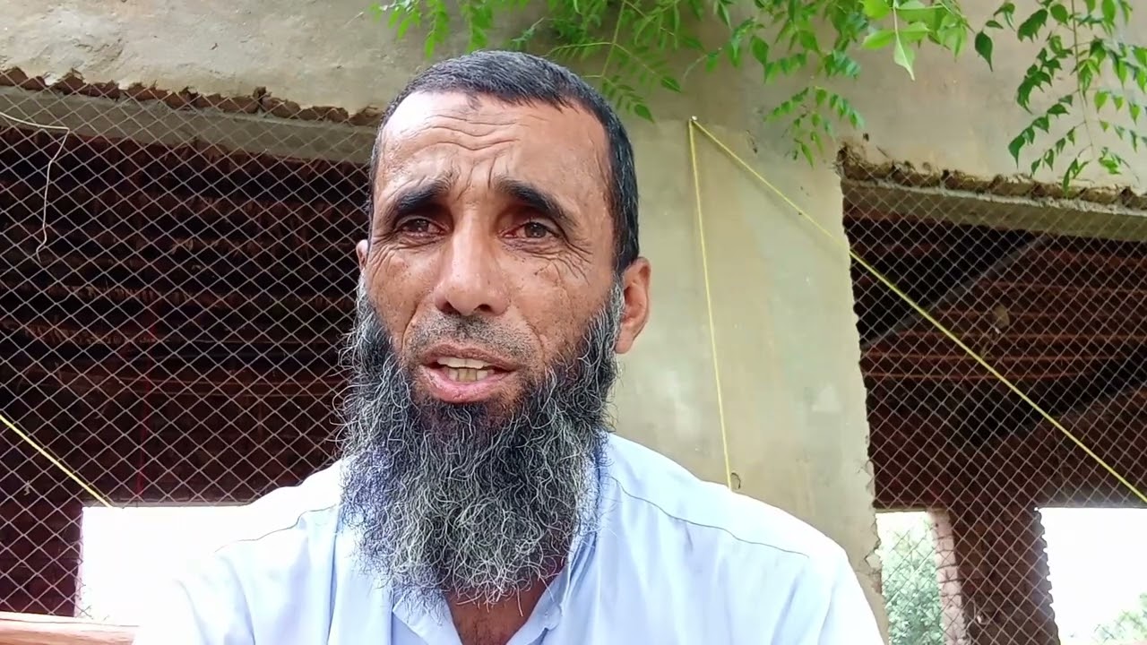 چوزوں کو صحت مند رکھنے کے قدرتی ٹوٹکے 