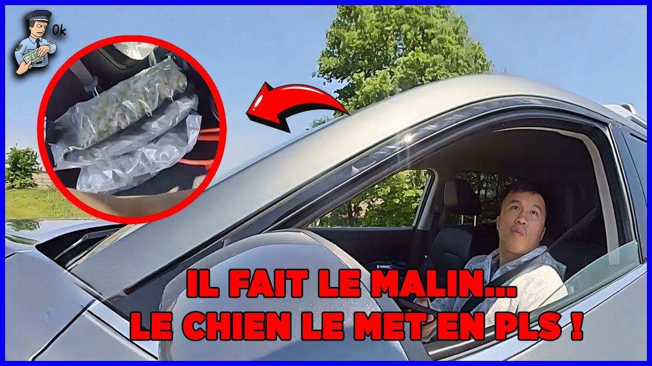 REFUS DE FOUILLE : Il Invoque la Loi, le Chien le FINIT ! | Police américaine
